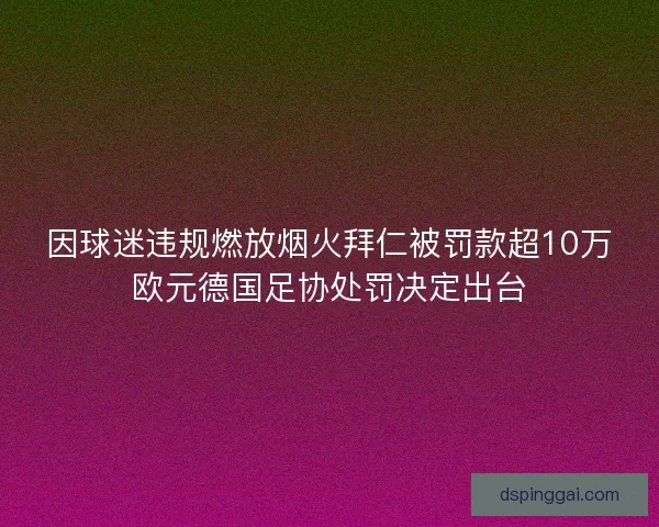因球迷违规燃放烟火拜仁被罚款超10万欧元德国足协处罚决定出台